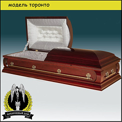 Модель Торонто