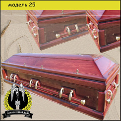 Модель 25
